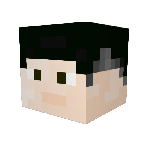 ksw52 Minecraft avatar head, 3D render