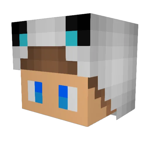 ktc100 Minecraft avatar head, 3D render