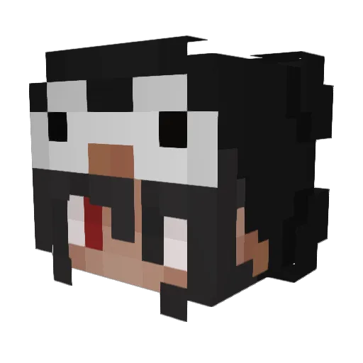 ktcats Minecraft avatar head, 3D render