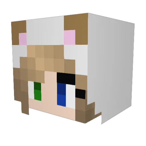 ktig34 Minecraft avatar head, 3D render