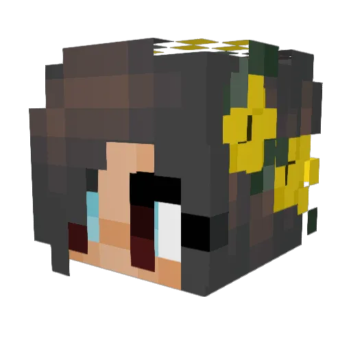 ktrocks567 Minecraft avatar head, 3D render