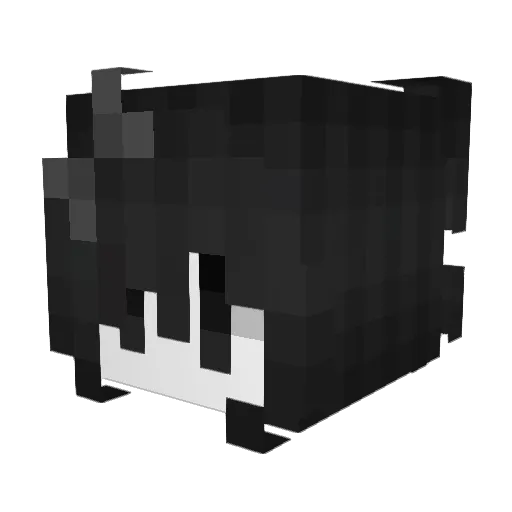 kttykim Minecraft avatar head, 3D render