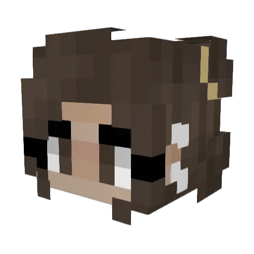 ktwin2 Minecraft avatar head, 3D render