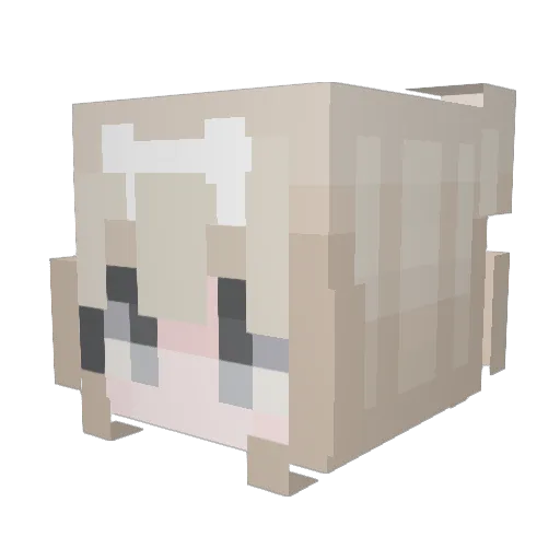 ku_1in Minecraft avatar head, 3D render
