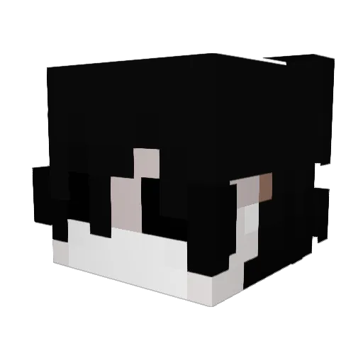 kuba12999 Minecraft avatar head, 3D render