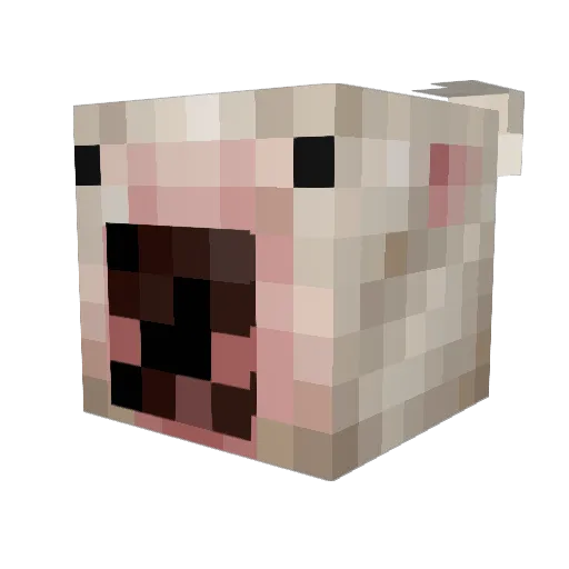 kubaendelo Minecraft avatar head, 3D render