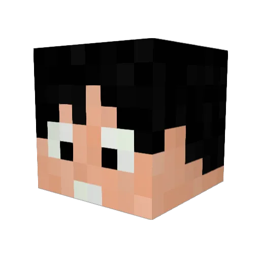 kubajsss8 Minecraft avatar head, 3D render