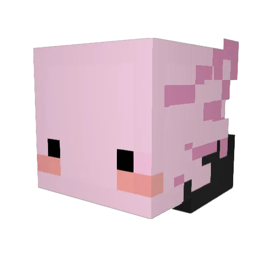 kubalaks18 Minecraft avatar head, 3D render