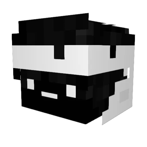 kubapos2009 Minecraft avatar head, 3D render