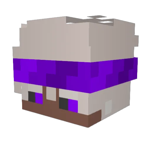 kubaq345 Minecraft avatar head, 3D render
