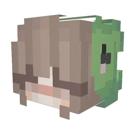 kubix123vr Minecraft avatar head, 3D render