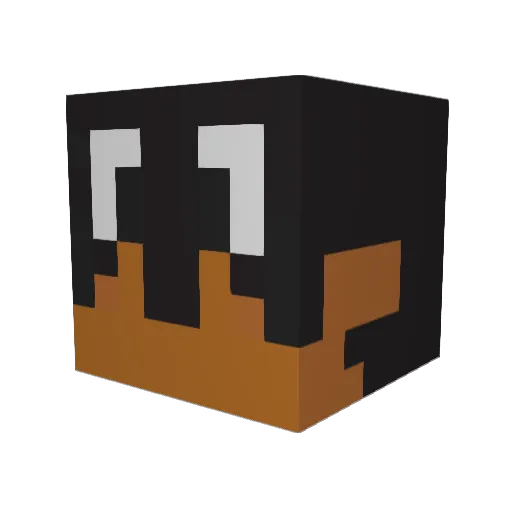 kubixonn Minecraft avatar head, 3D render