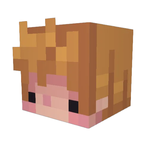 kubsonlele Minecraft avatar head, 3D render