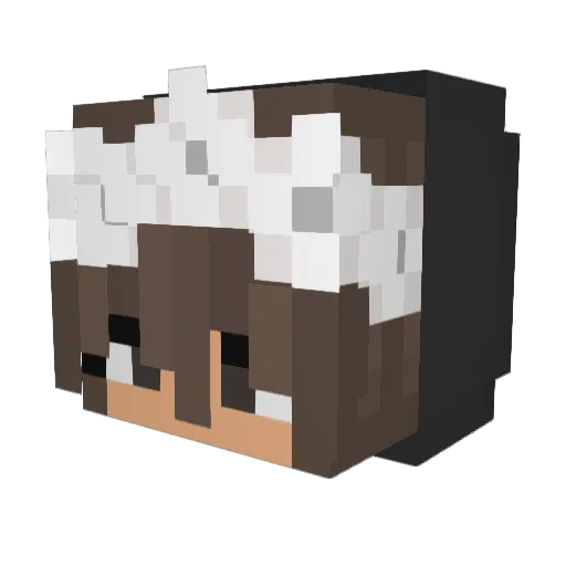 kubusob2010 Minecraft avatar head, 3D render