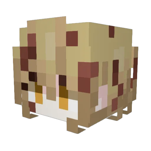 kuganetz25 Minecraft avatar head, 3D render