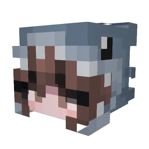 kuina99 Minecraft avatar head, 3D render