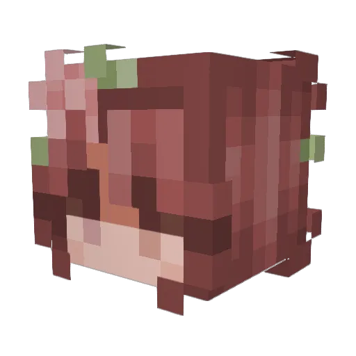 kukiekukoa Minecraft avatar head, 3D render