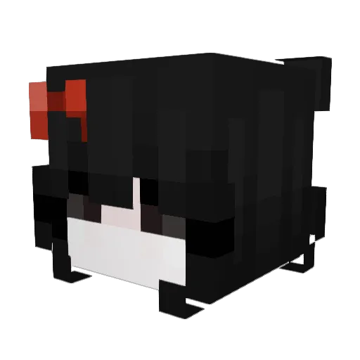 kumfeti Minecraft avatar head, 3D render