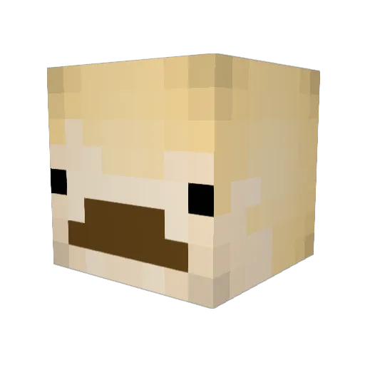 kumpulaine Minecraft avatar head, 3D render