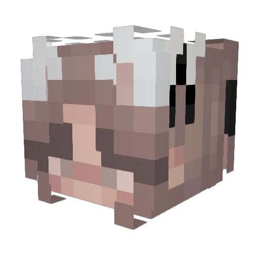 kungfizzle Minecraft avatar head, 3D render