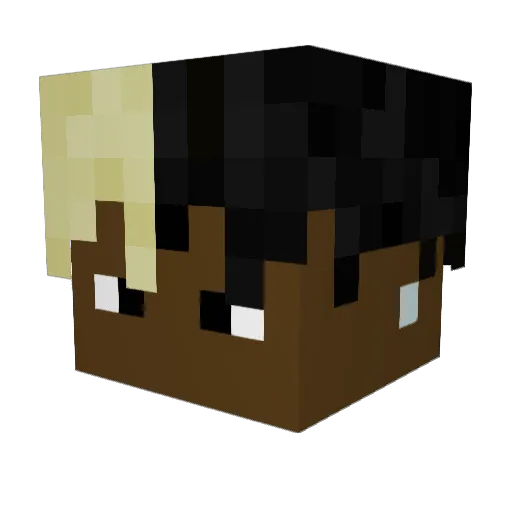 kungfu00 Minecraft avatar head, 3D render