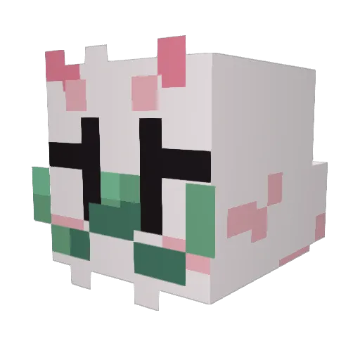 kungfuyoshi306 Minecraft avatar head, 3D render