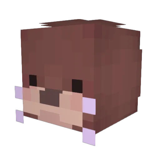 kuoro_ Minecraft avatar head, 3D render
