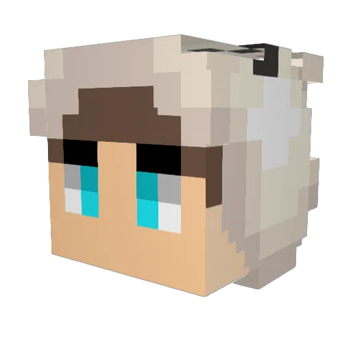 kuposoup Minecraft avatar head, 3D render