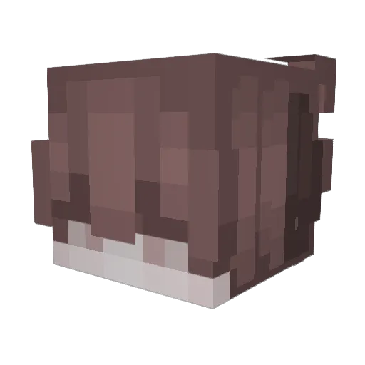 kuppiepup Minecraft avatar head, 3D render