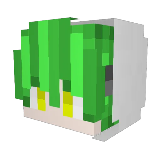 kupu_ Minecraft avatar head, 3D render