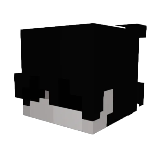 kuramahx1 Minecraft avatar head, 3D render
