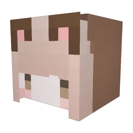 kuro0311 Minecraft avatar head, 3D render