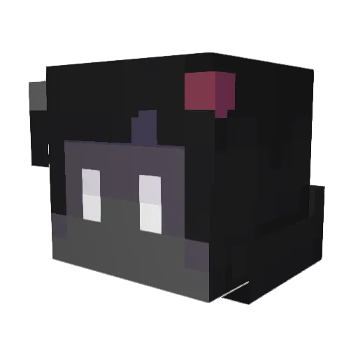 kuro_wastaken Minecraft avatar head, 3D render
