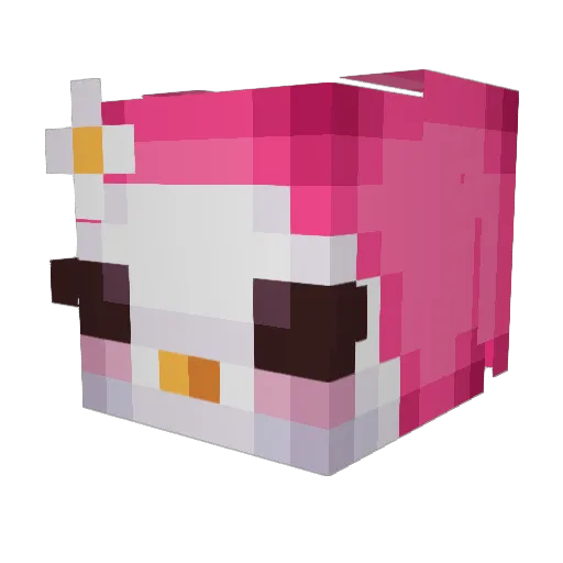 kuromitoad Minecraft avatar head, 3D render