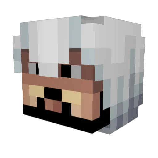 kurtarne909 Minecraft avatar head, 3D render