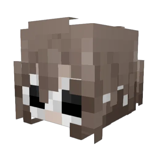 kurtskkj Minecraft avatar head, 3D render