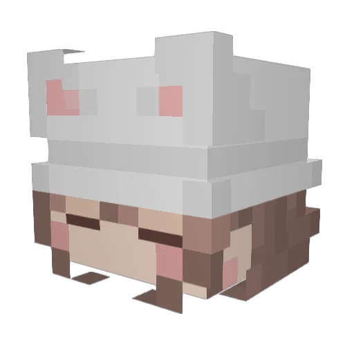kururuk1114 Minecraft avatar head, 3D render