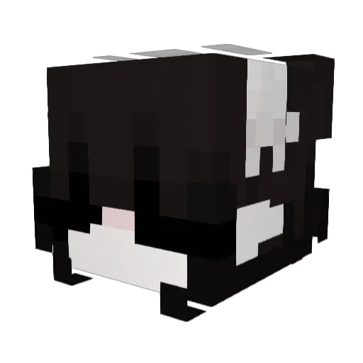 kus4ru Minecraft avatar head, 3D render