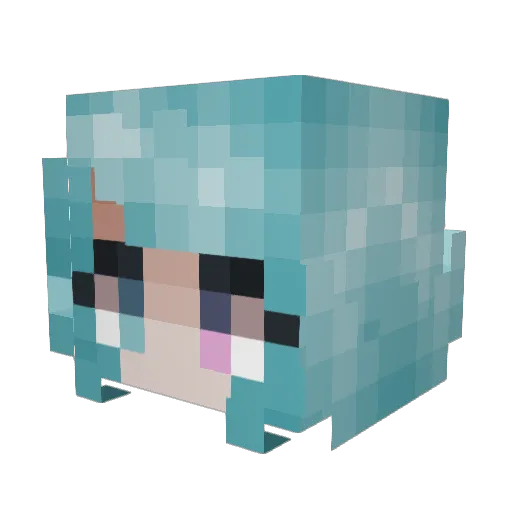 kuschka Minecraft avatar head, 3D render