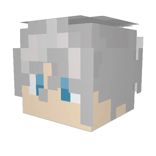 kuseki2520 Minecraft avatar head, 3D render