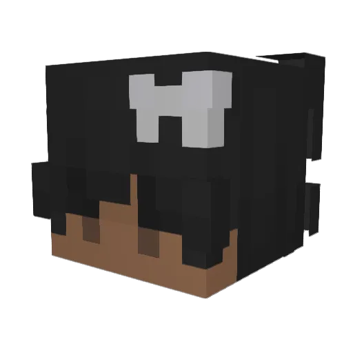 kushfromeast Minecraft avatar head, 3D render