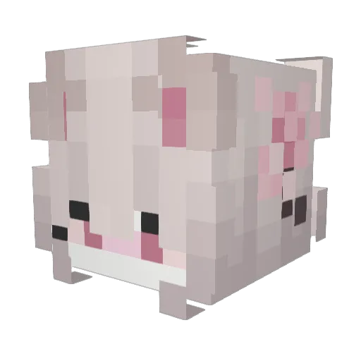 kuulest Minecraft avatar head, 3D render