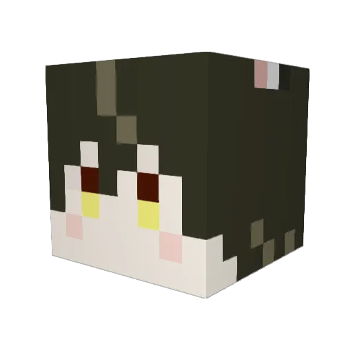 kuuto0510 Minecraft avatar head, 3D render