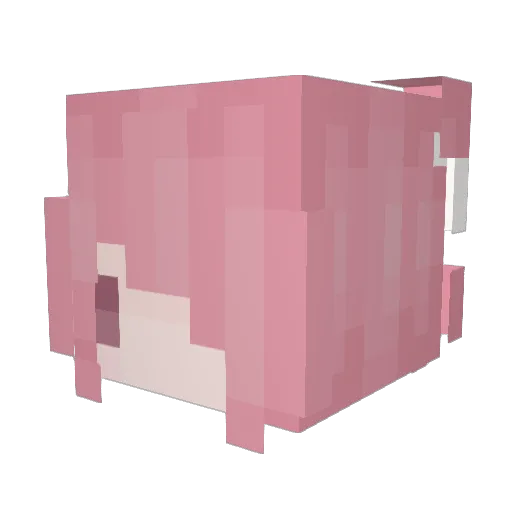 kuwaffle Minecraft avatar head, 3D render