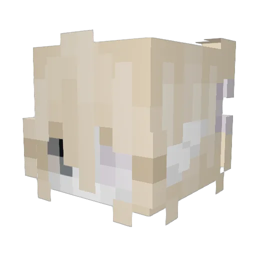 kuwoti Minecraft avatar head, 3D render