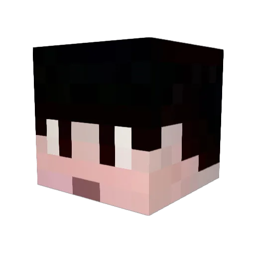 kux9999 Minecraft avatar head, 3D render