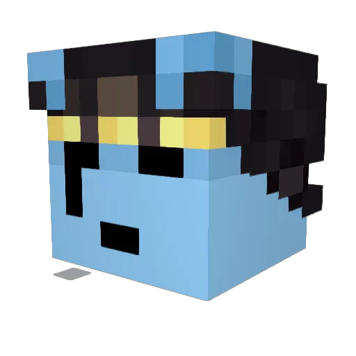 kuzeypengu Minecraft avatar head, 3D render