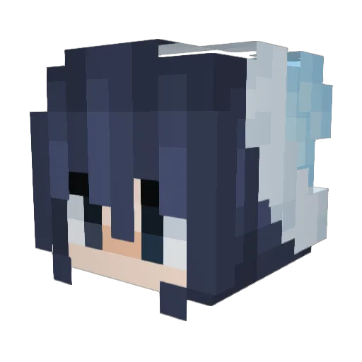 kv4n_kva Minecraft avatar head, 3D render
