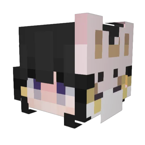kva3ster Minecraft avatar head, 3D render
