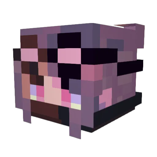 kvindi Minecraft avatar head, 3D render